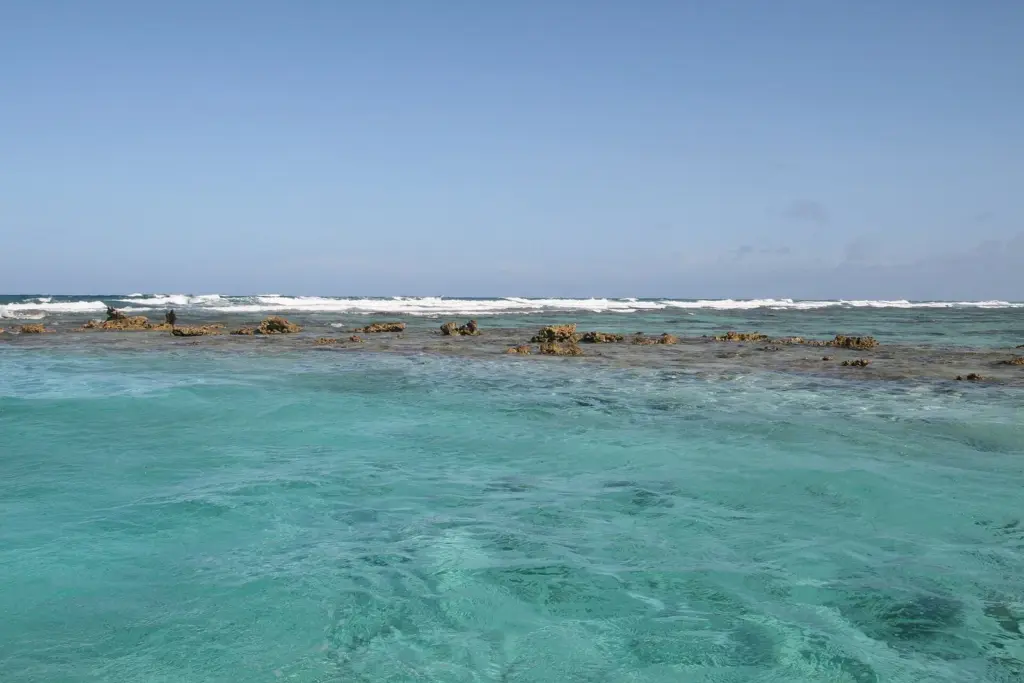Waves breaking along the Belize Barrier Reef crest offshore from Ambergris Caye