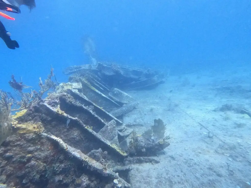 Broken steel hull ribs of the Benwood wreck on a sandy bottom off Key Largo