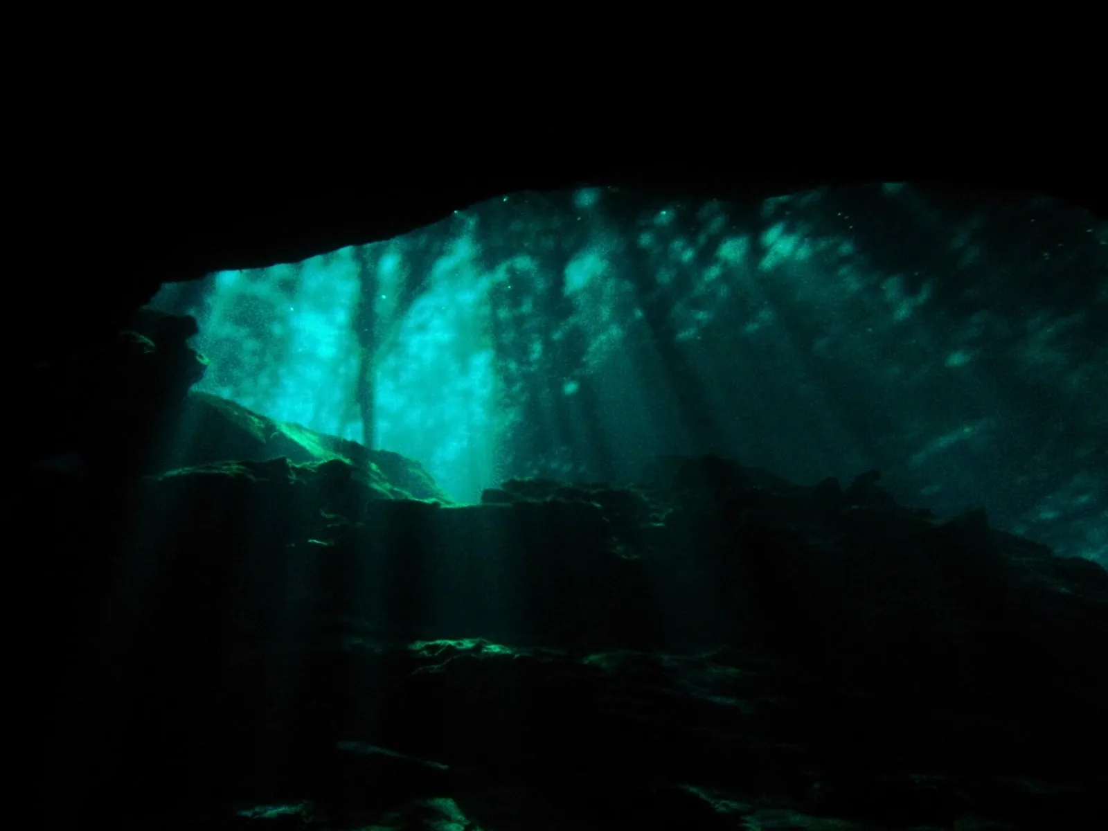 Cenote Diving: The Complete Guide to Mexico’s Cenotes and Florida’s Springs