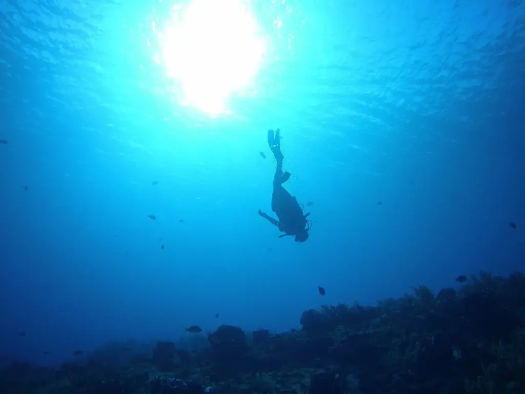Scuba diver descending through sunlit blue water toward the reef off Cozumel, Mexico