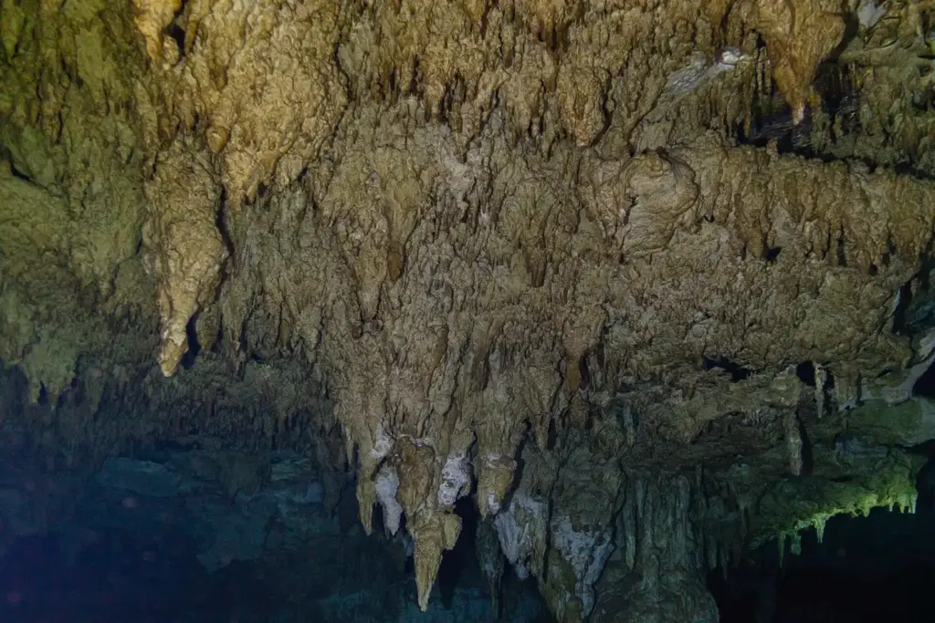 Stalactites and limestone formations hanging from the ceiling of the flooded cavern at Cenote Dos Ojos