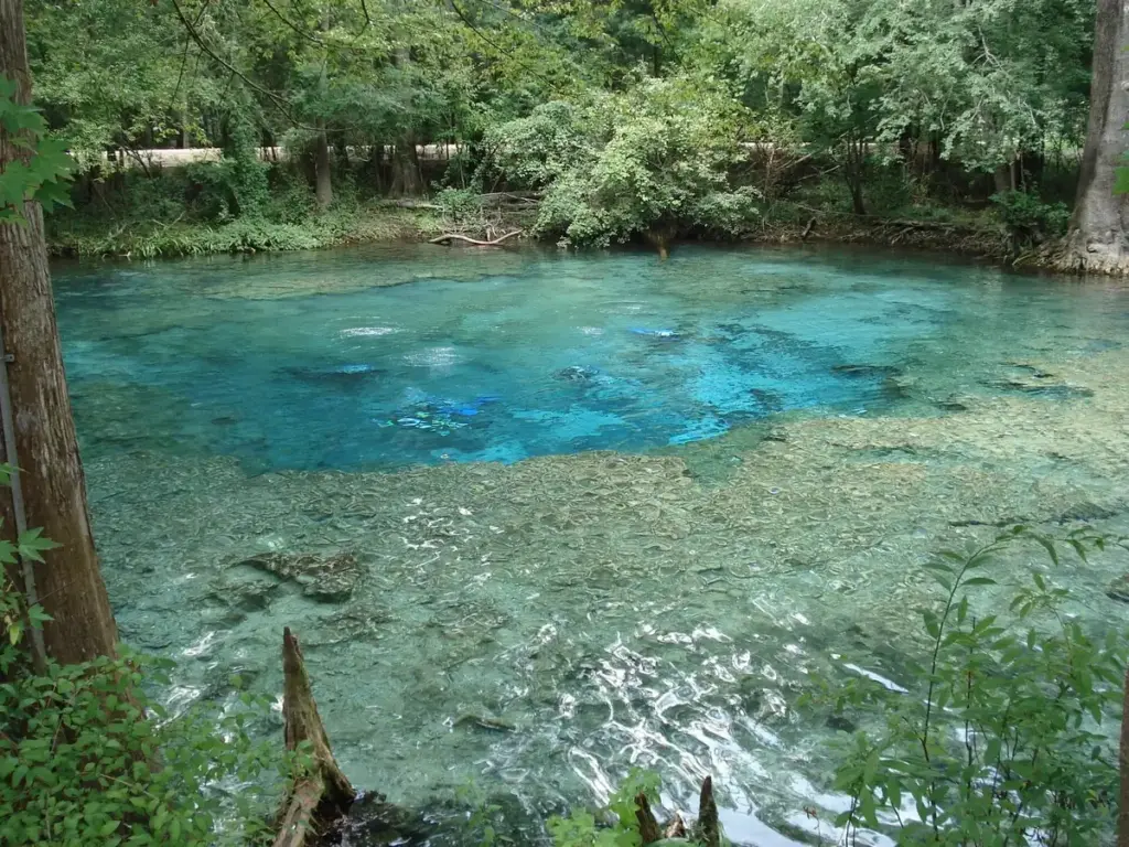Clear blue spring pool at Ginnie Springs, Florida, ringed by trees