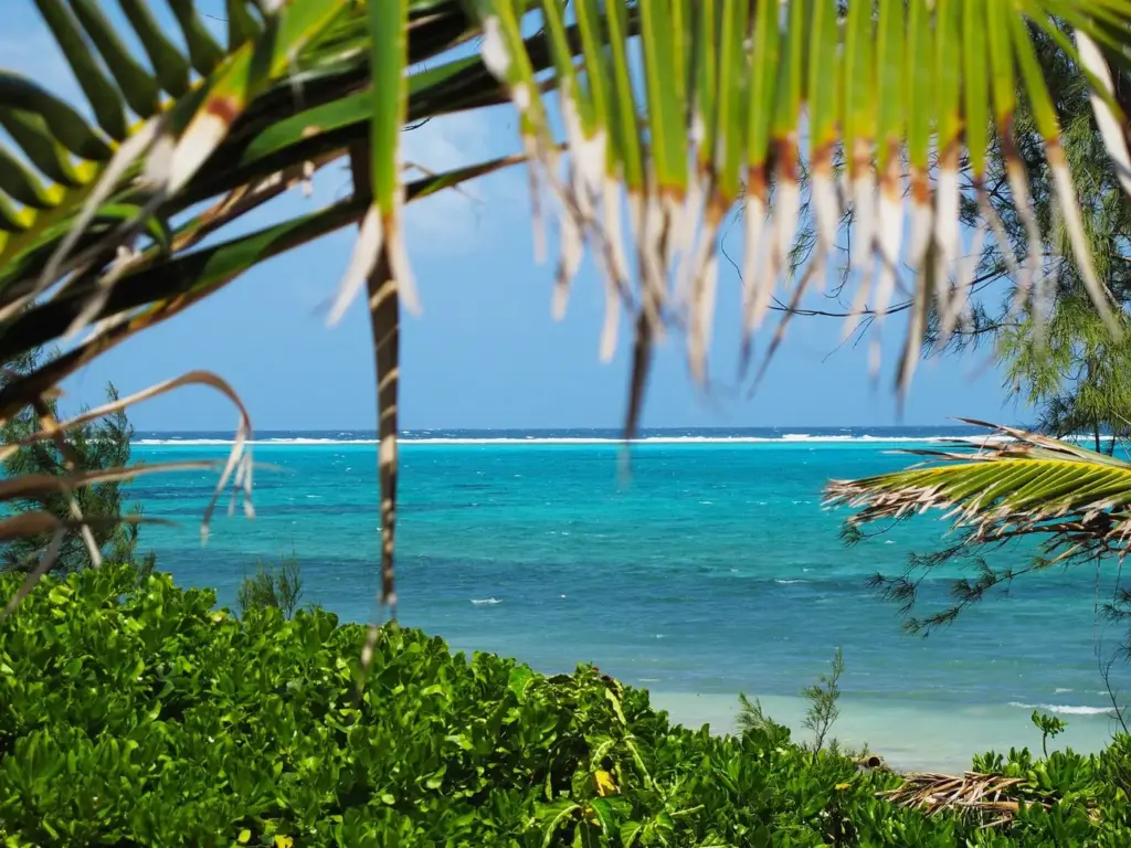 Turquoise lagoon inside Grand Cayman's reef seen from shore through palm fronds