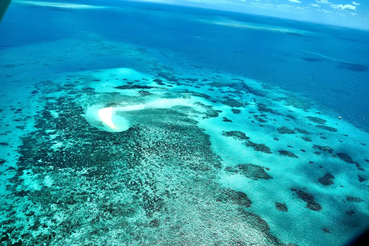 Great Barrier Reef Diving: Where to Dive Australia’s Reefs, Ningaloo and New Zealand