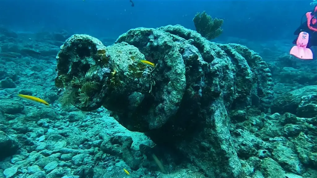 Old ship's winch encrusted with coral on the sand at Molasses Reef, with a diver's fins in the background