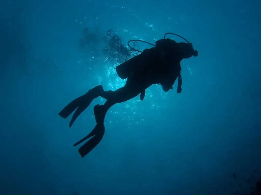 Silhouette of a scuba diver swimming in blue water beneath the sunlit surface near Apo Island, Philippines