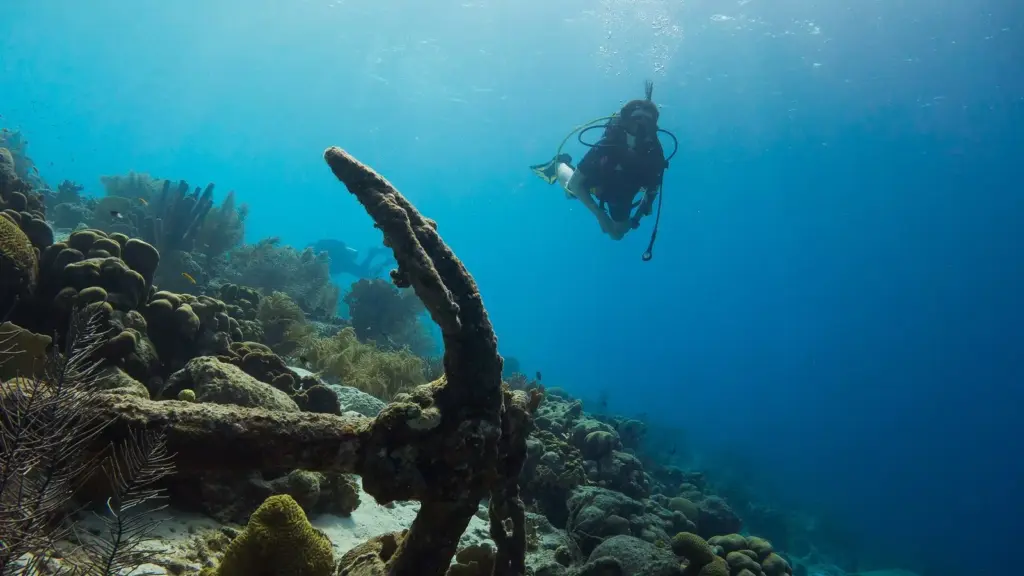 Scuba diver swimming past a coral-encrusted anchor on a shallow reef in Bonaire