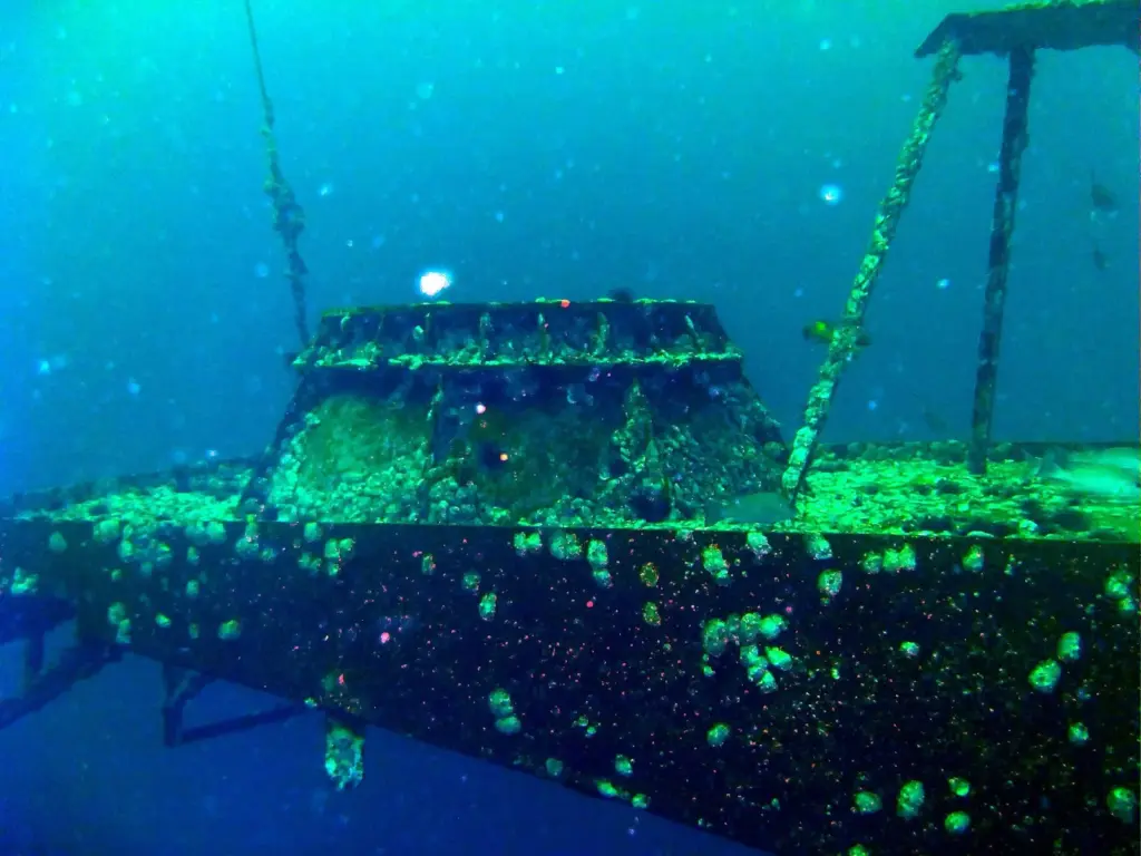 Top of the USS Oriskany's island superstructure covered in marine growth at about 80 feet underwater off Pensacola