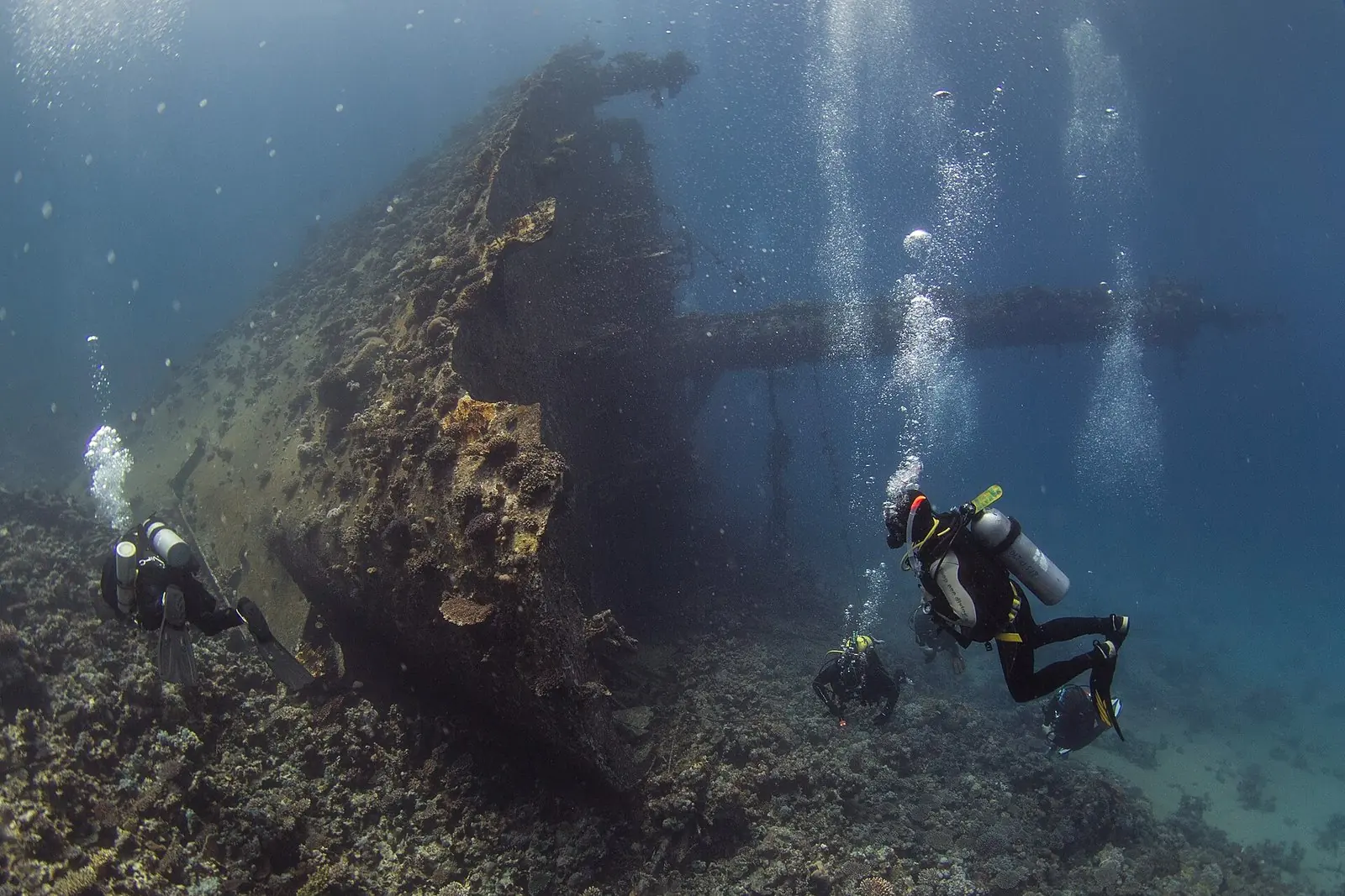 Red Sea Diving: Egypt’s Wrecks, Reefs and Sharks, Plus Jordan, Saudi Arabia and Oman