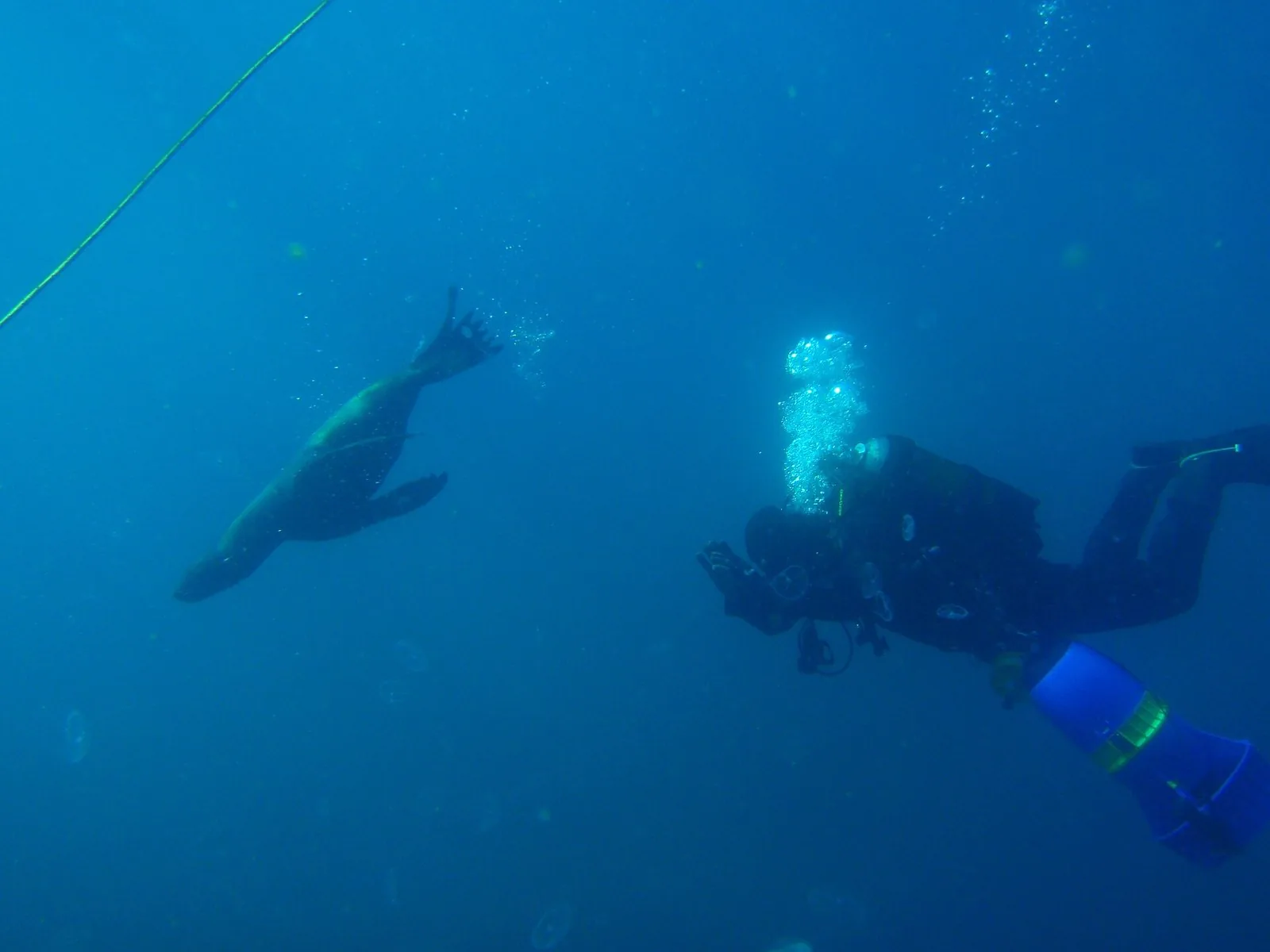 Scuba Diving Safety for Travelers: Real Risks, Medical Fitness, Insurance and Emergencies Abroad