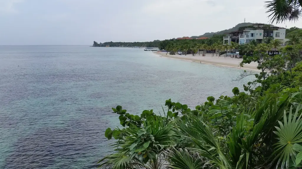 West Bay beach on Roatan seen from a hillside, with resorts along the sand and the reef in the shallows